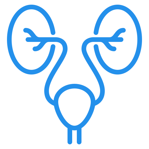 urology